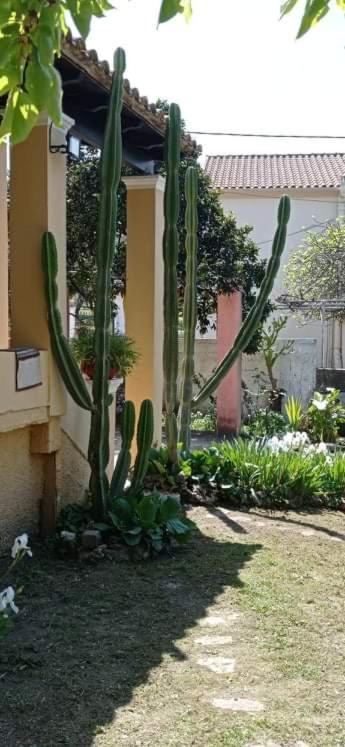 Willa Roula'S House Nymfai Zewnętrze zdjęcie